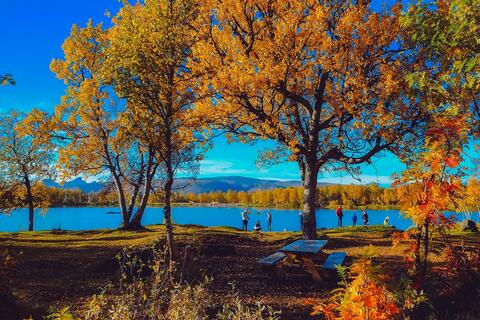 v_102_0000066383